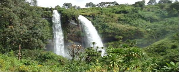 Bungoma County county cover